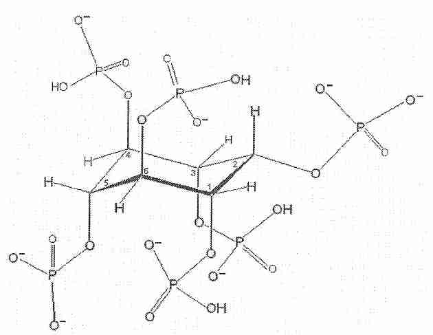 [PHYTIC ACID]