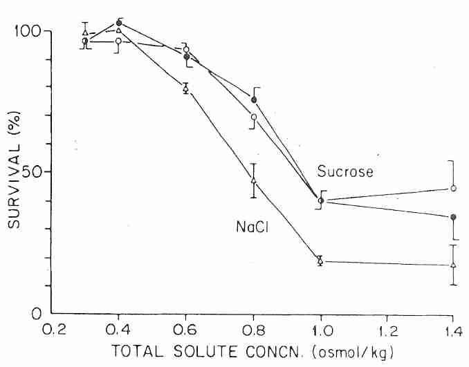 Granulocytes in hyperosmotic solutions at 0ºC