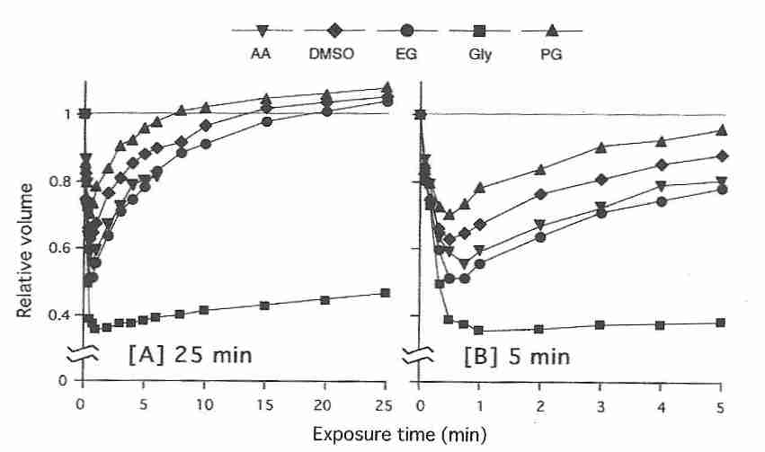 Cryoprotectant permeability for mouse oocytes