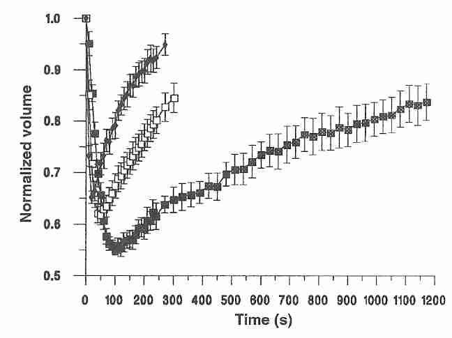 The shrink/swell cycle for mature human oocytes