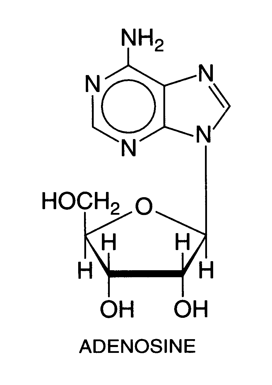 [ Adenosine ]