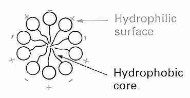 Liposome