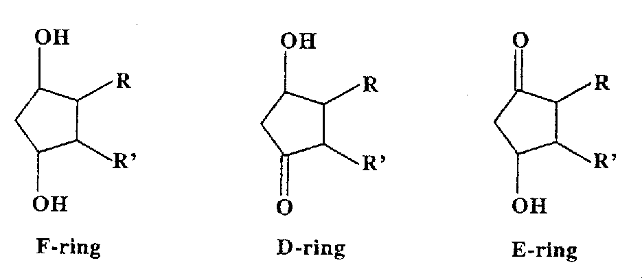 Ring Structures