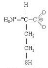 Homocysteine