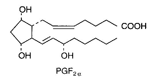 [Normal F-Ring Prostaglandin]