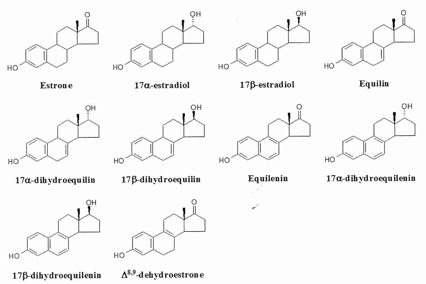 Pregnant Horse Urine Estrogens