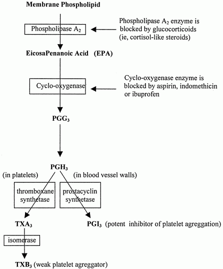 [Series-3 Eicosanoids (from EPA) ]