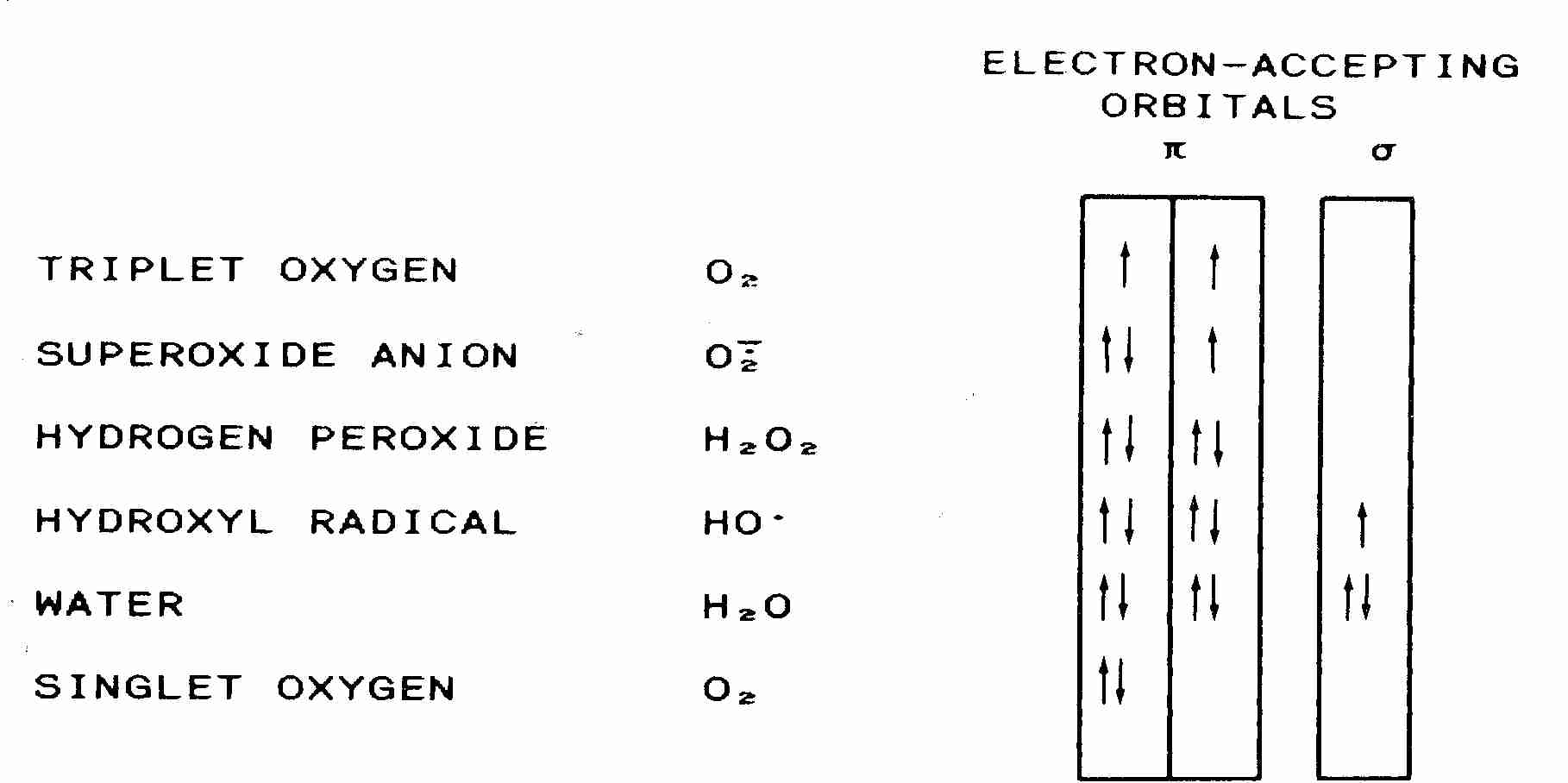 Electon States of ROS