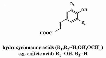 [Hydroxycinnamic Acids]