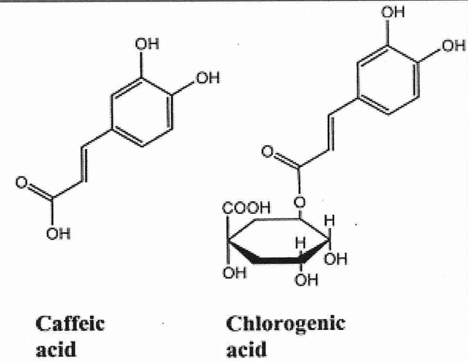 [Caffeic Acid Ester]