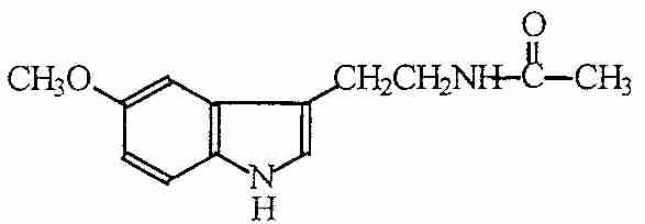 [ MELATONIN ]