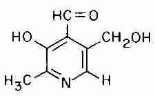 [ Pyridoxal ]