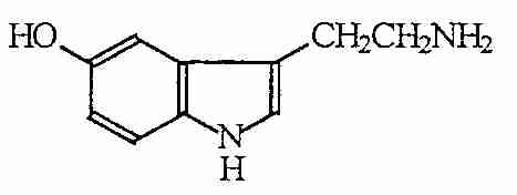 [ SEROTONIN ]