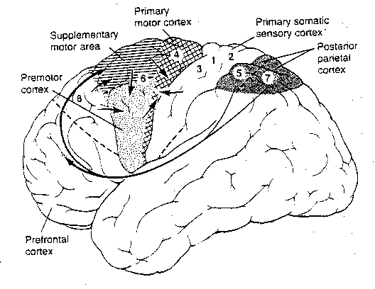 [SMA and PMC inputs and outputs]