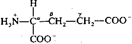 Glutamate