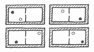 Two Different Gas Atom